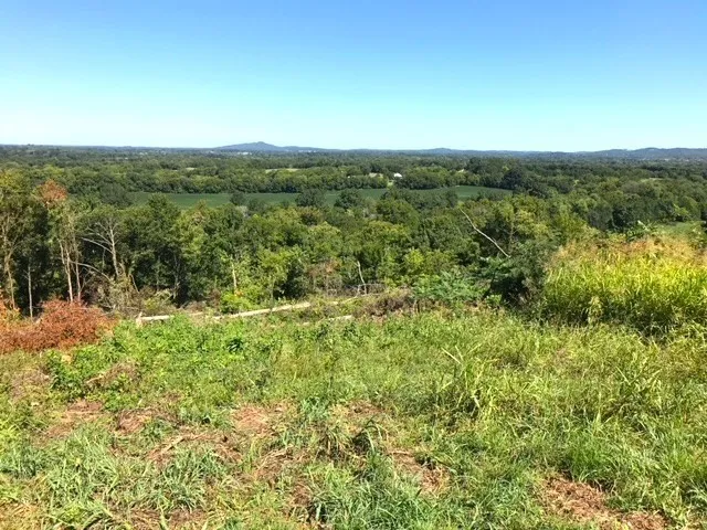 0 Overlook Lane Shelbyville, TN 37160