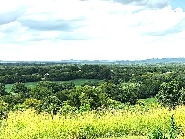 0 Overlook Lane Shelbyville, TN 37160
