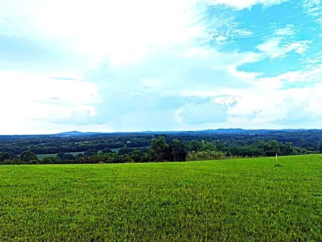 0 Overlook Lane Shelbyville, TN 37160