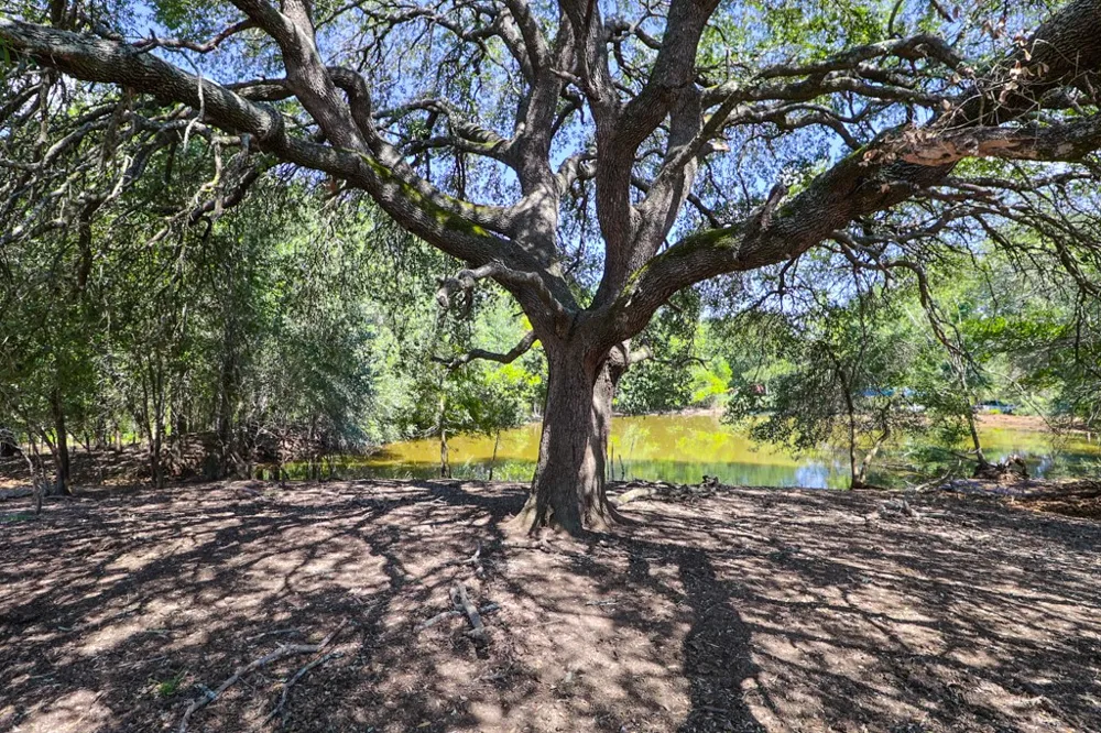3995 COUNTY ROAD 405 Lexington, TX 78947