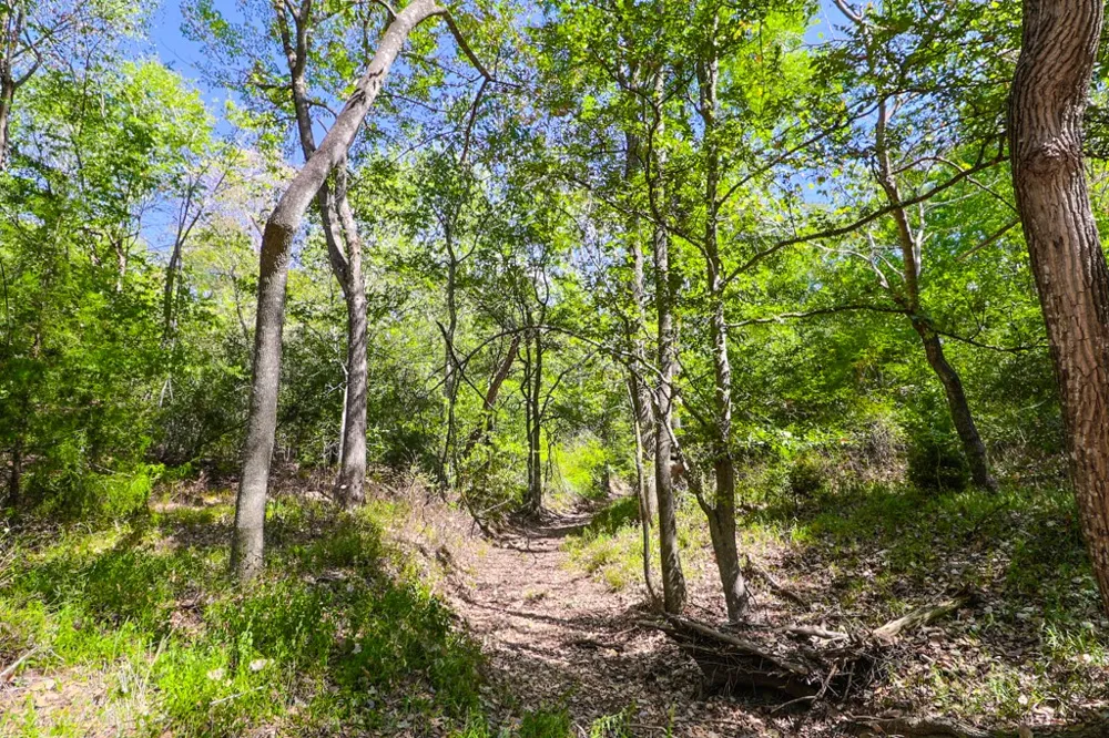 3995 COUNTY ROAD 405 Lexington, TX 78947