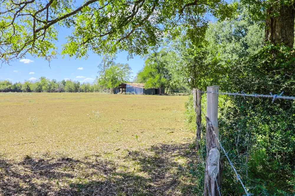 3995 COUNTY ROAD 405 Lexington, TX 78947