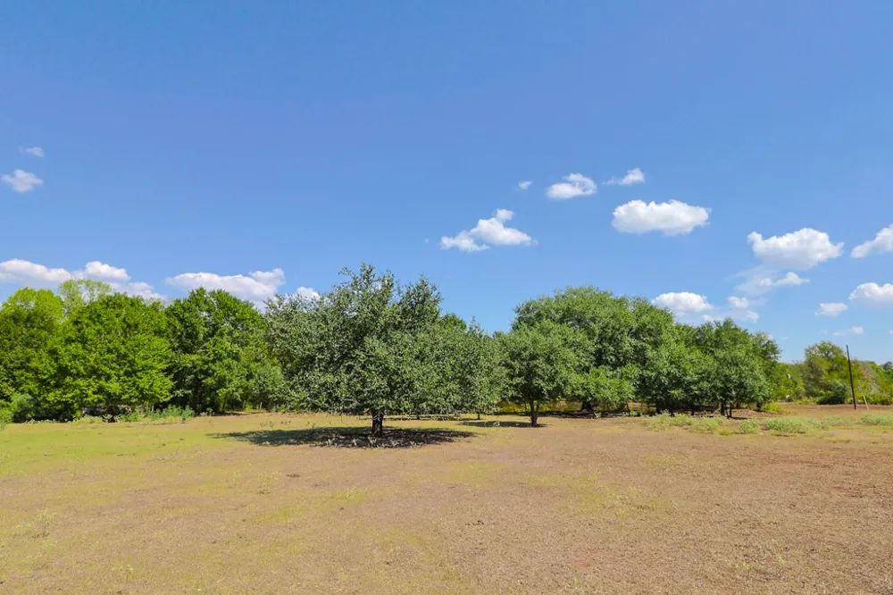 3995 COUNTY ROAD 405 Lexington, TX 78947