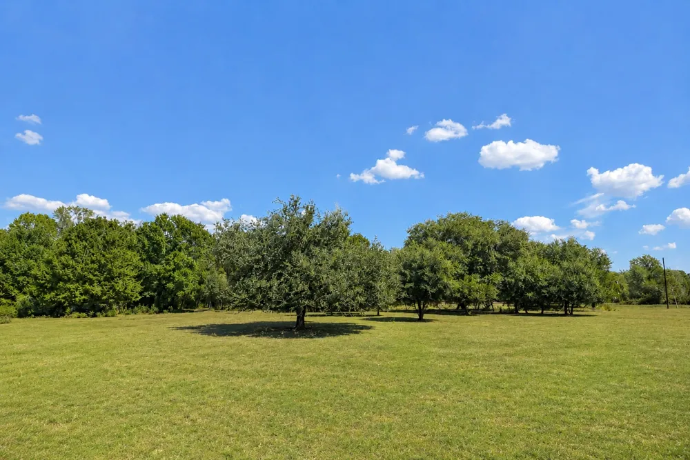 3995 COUNTY ROAD 405 Lexington, TX 78947