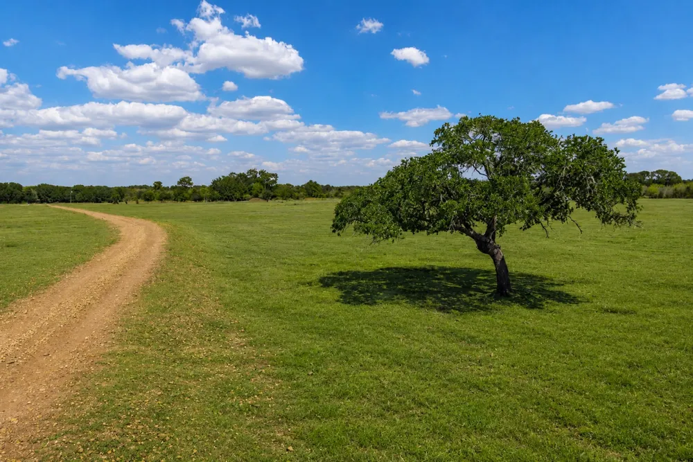 3995 COUNTY ROAD 405 Lexington, TX 78947