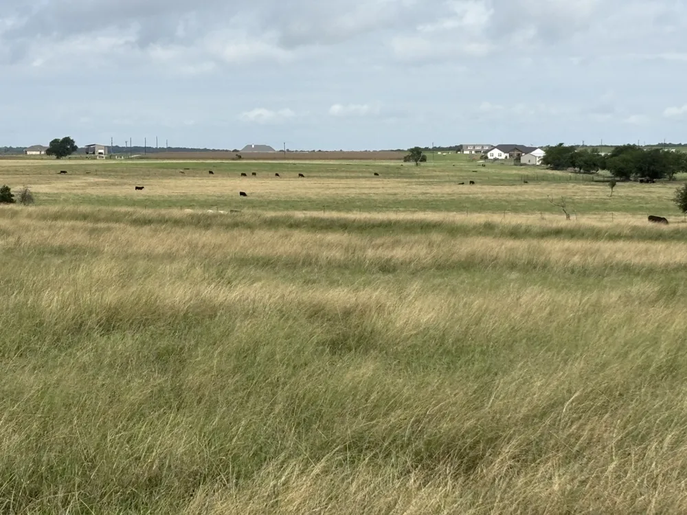 700 County Road 330 Road Granger, TX 76530