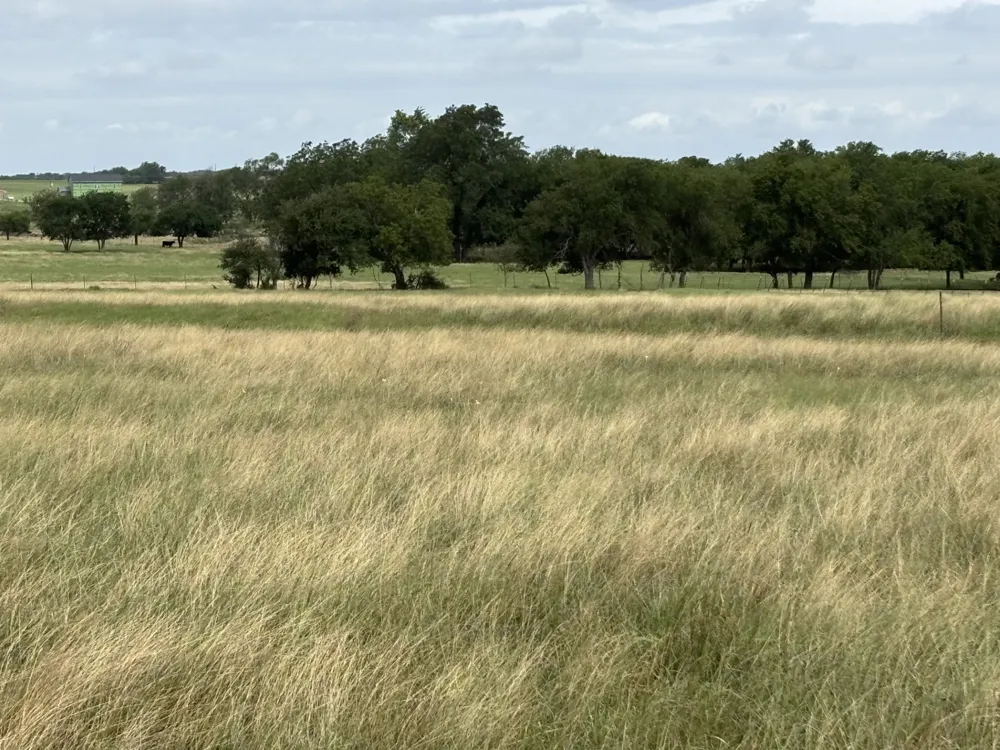 700 County Road 330 Road Granger, TX 76530