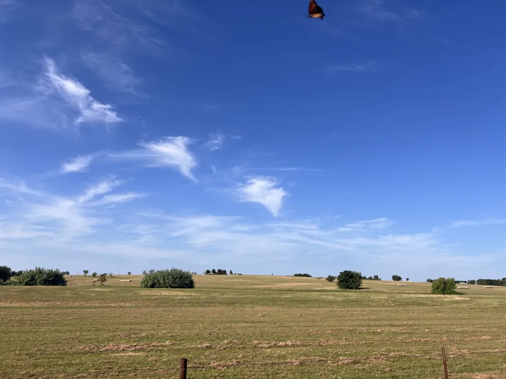 700 County Road 330 Road Granger, TX 76530