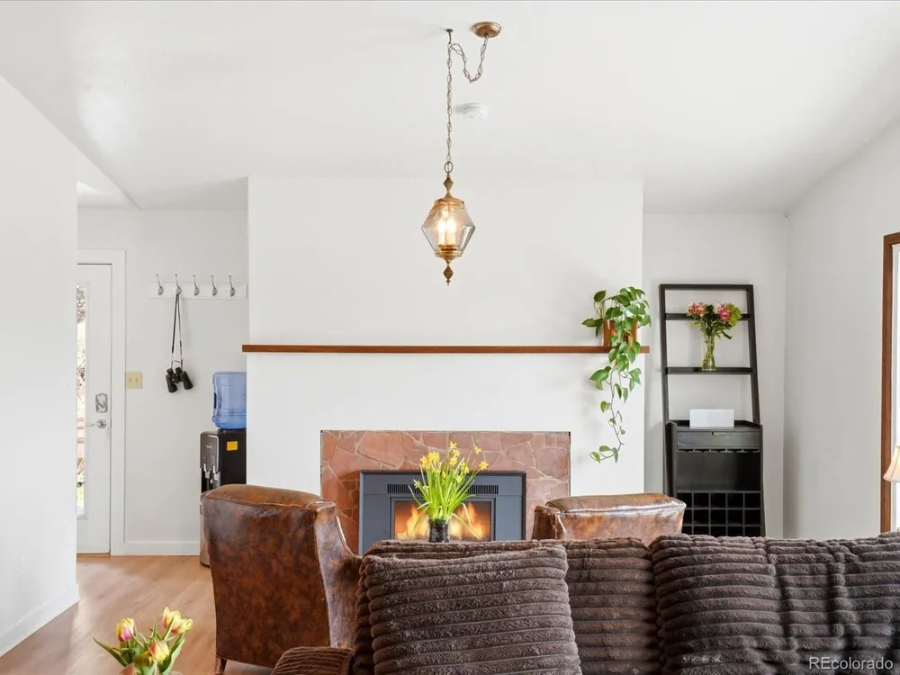 204 Bob Cat Trail Bailey, CO 80421