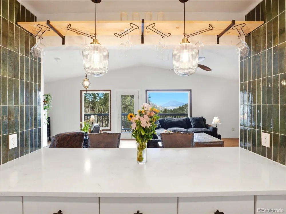 204 Bob Cat Trail Bailey, CO 80421