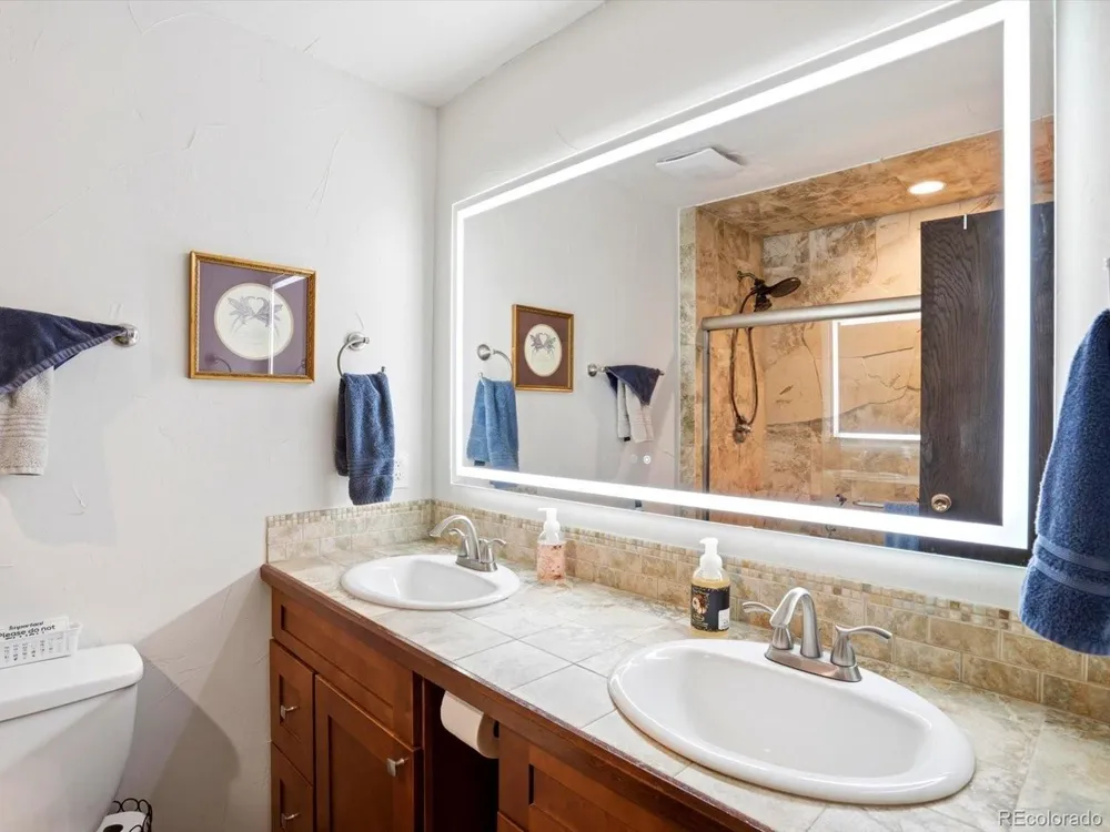 204 Bob Cat Trail Bailey, CO 80421