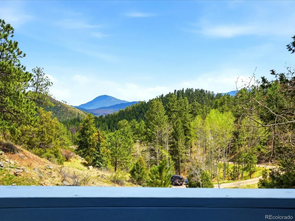 204 Bob Cat Trail Bailey, CO 80421