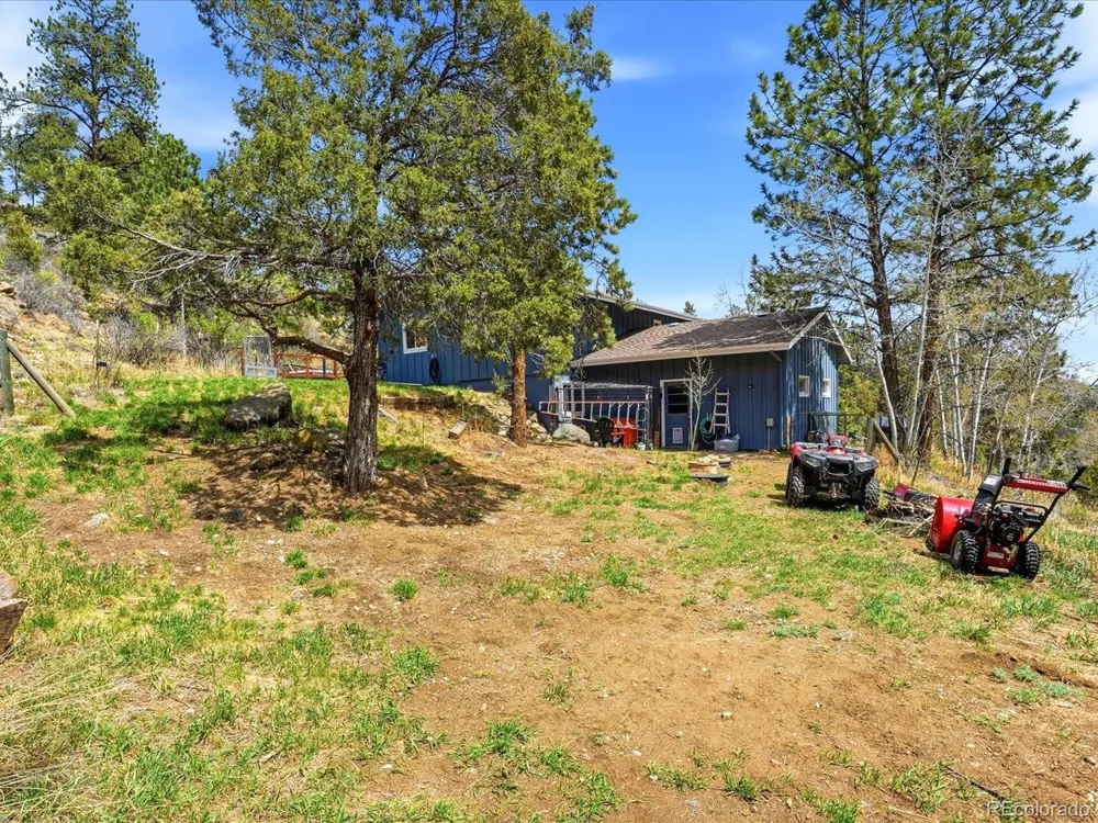 204 Bob Cat Trail Bailey, CO 80421