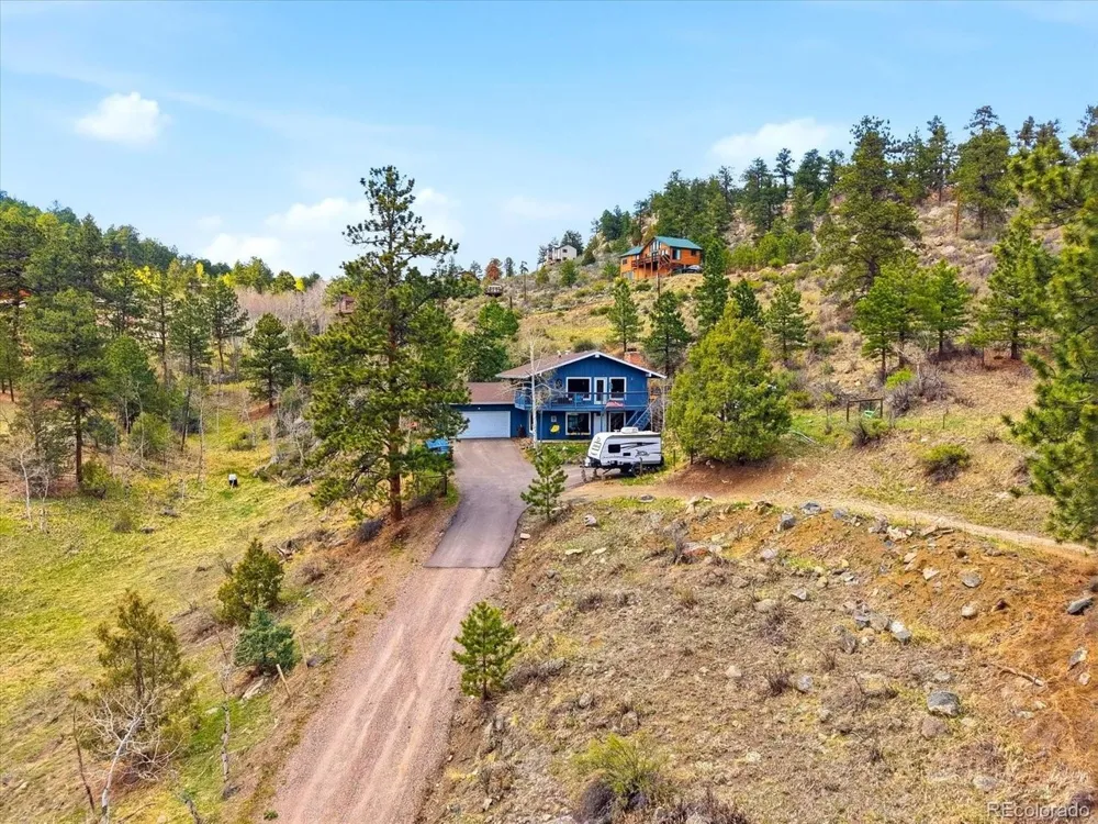 204 Bob Cat Trail Bailey, CO 80421