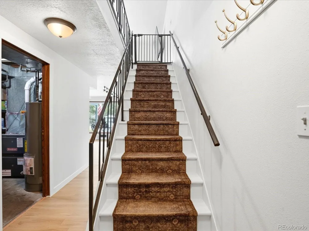 204 Bob Cat Trail Bailey, CO 80421