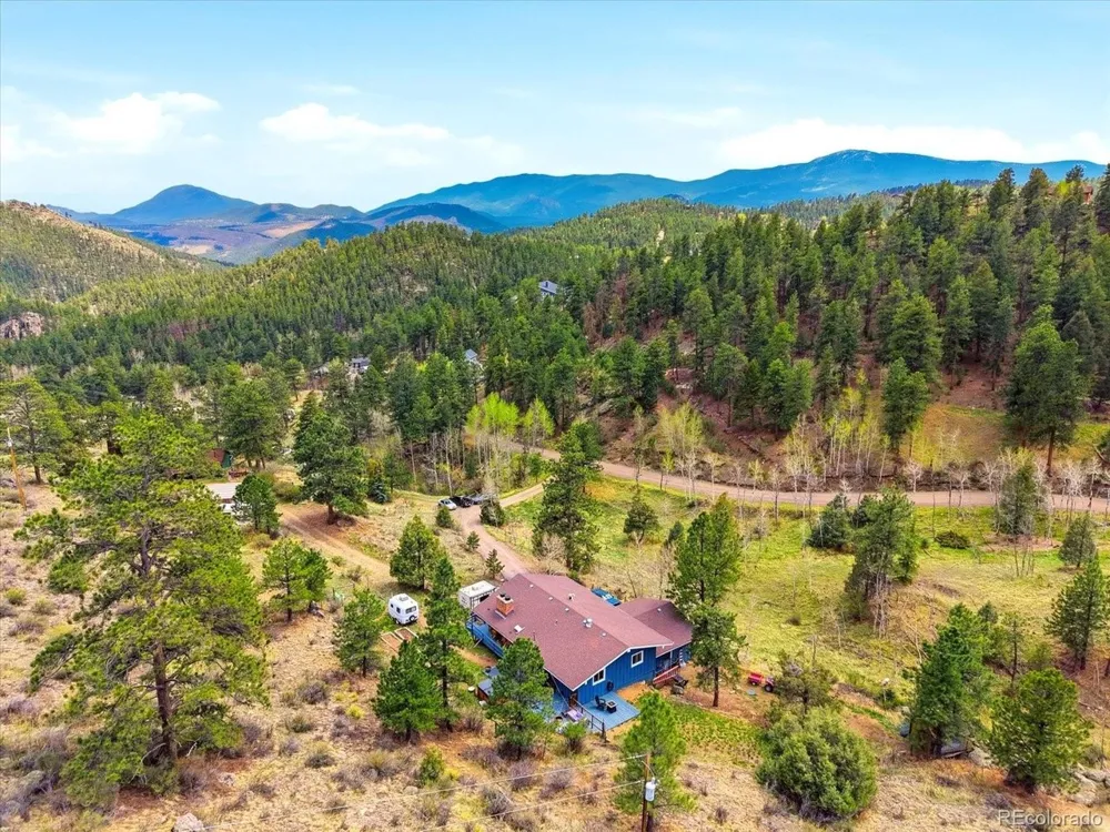 204 Bob Cat Trail Bailey, CO 80421