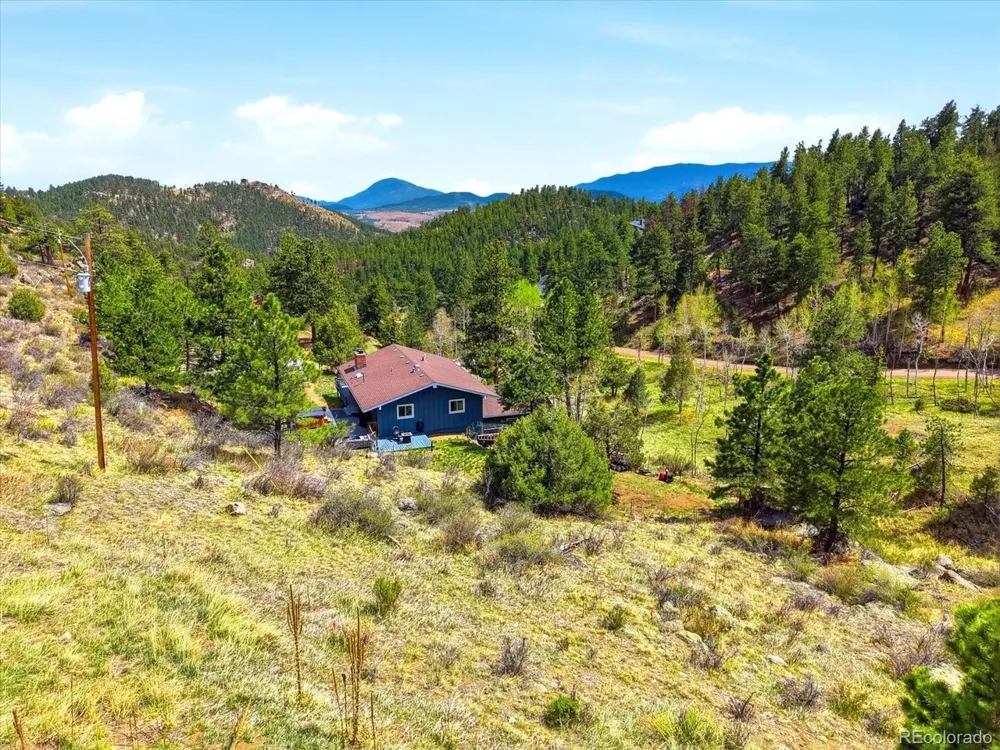 204 Bob Cat Trail Bailey, CO 80421