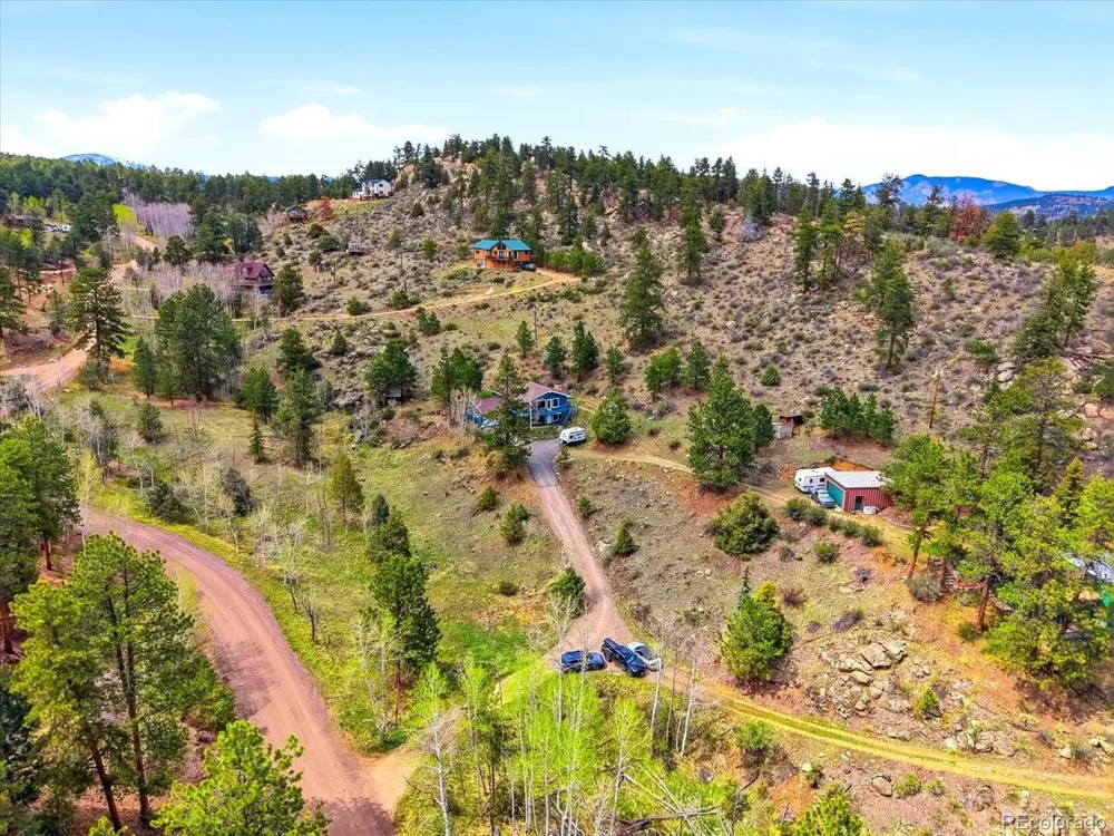 204 Bob Cat Trail Bailey, CO 80421