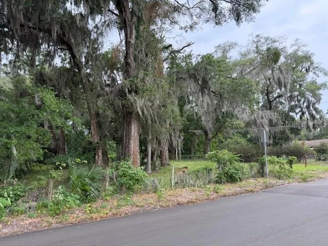 412 YORK STREET Wildwood, FL 34785