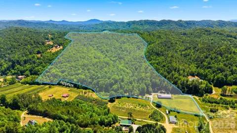 81 +/- Acres 2967 Roby Martin Road