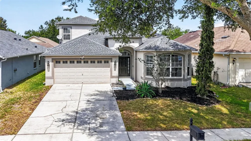 10024 COLDWATER LOOP Land O Lakes, FL 34638