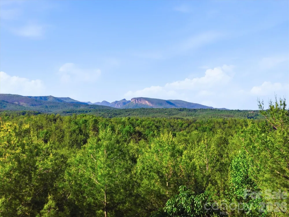 V/L Clear Water Way #95 Nebo, NC 28761