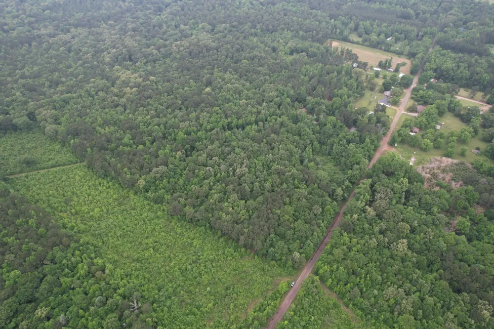 County Road 3659 Queen City, TX 75572