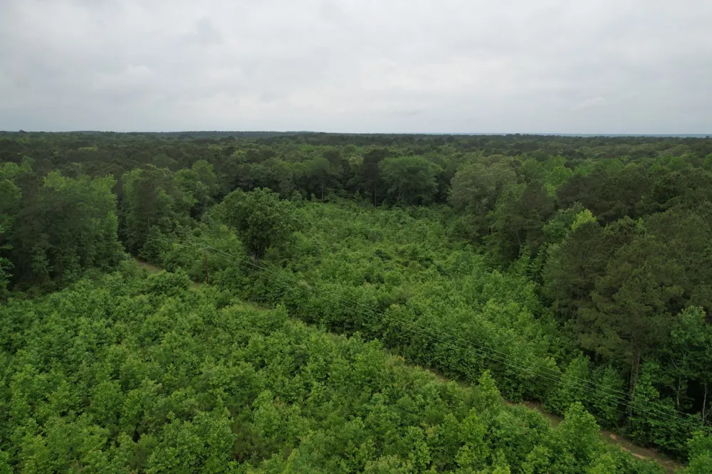 County Road 3659 Queen City, TX 75572