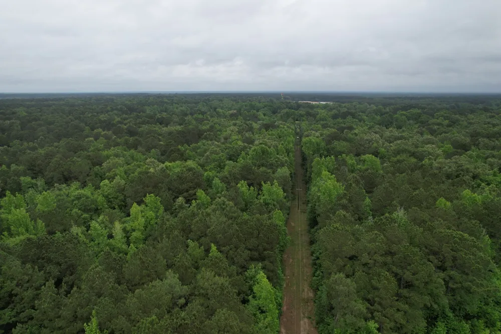 County Road 3659 Queen City, TX 75572
