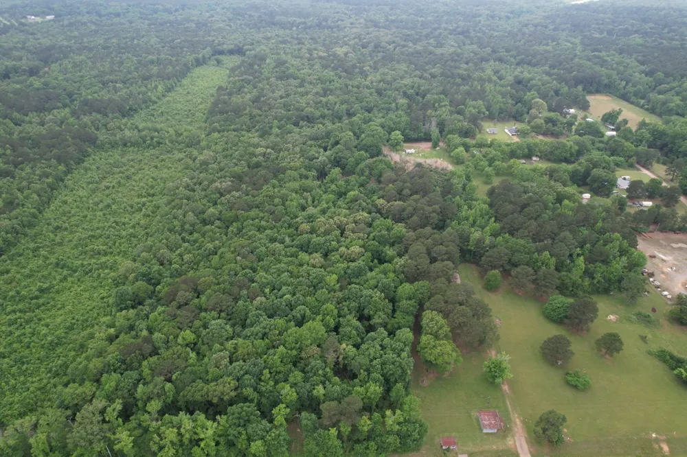 County Road 3659 Queen City, TX 75572