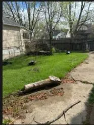 20017 Hawthorne Street Highland Park, MI 48203