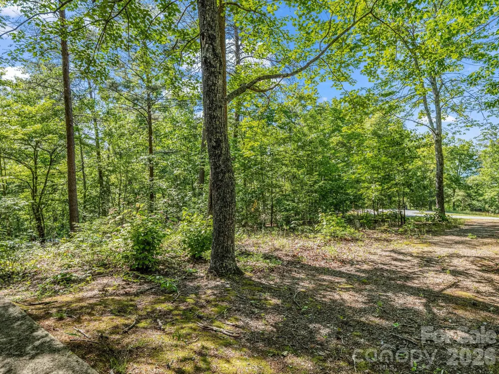 740 Justice Drive Lake Lure, NC 28746