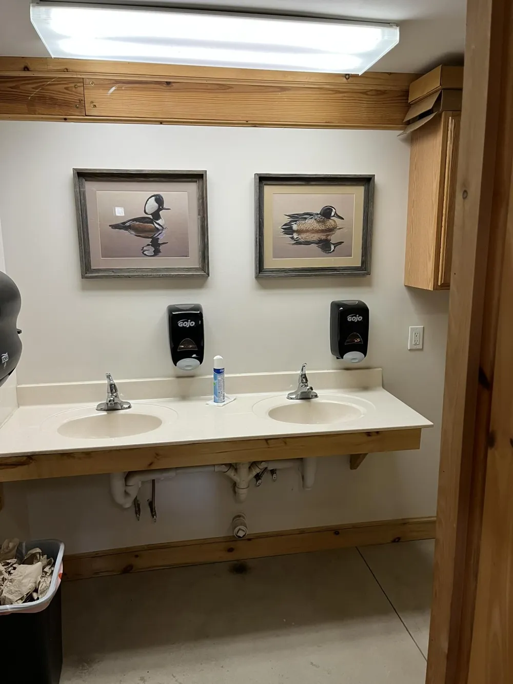 264 S 152nd Avenue #- Cabin and 60 Acres Ferry Township, MI 49455