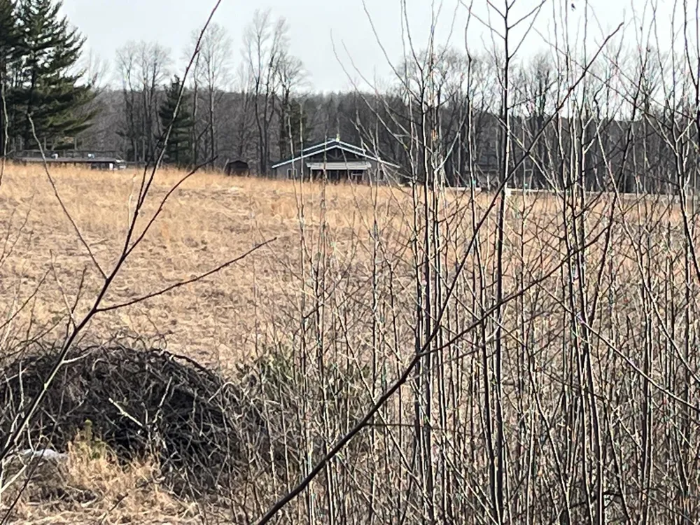 264 S 152nd Avenue #- Cabin and 60 Acres Ferry Township, MI 49455