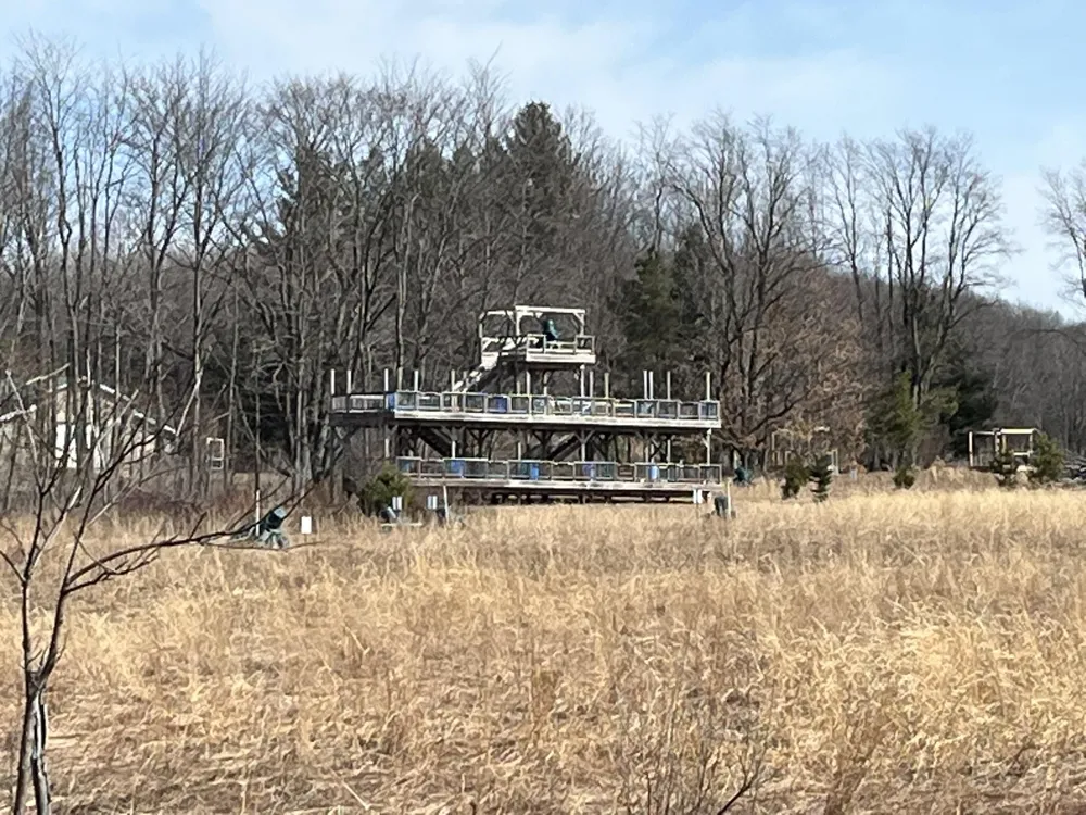 264 S 152nd Avenue #- Cabin and 60 Acres Ferry Township, MI 49455