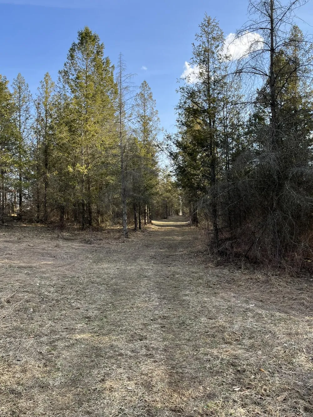 264 S 152nd Avenue #- Cabin and 60 Acres Ferry Township, MI 49455