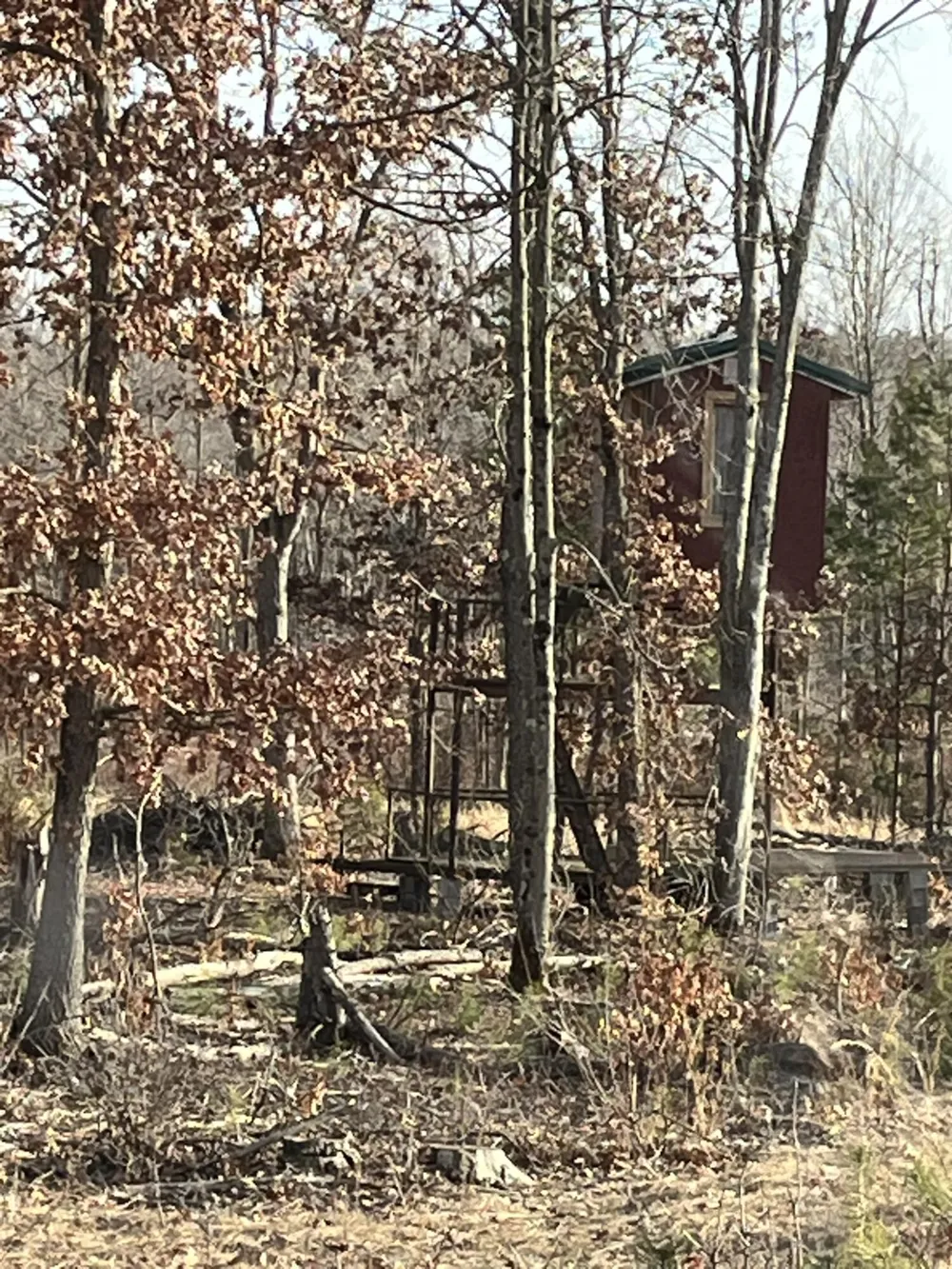 264 S 152nd Avenue #- Cabin and 60 Acres Ferry Township, MI 49455