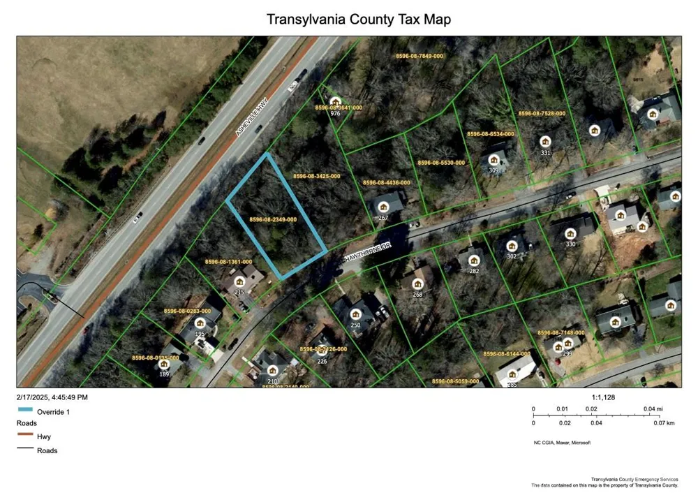 L12 Hawthorne Drive #L12 Brevard, NC 28712