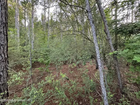 Lot 1 River Road