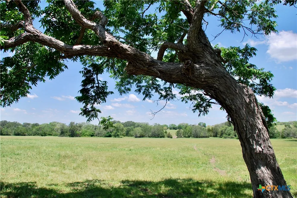 1070 Muehr Road Weimar, TX 78962