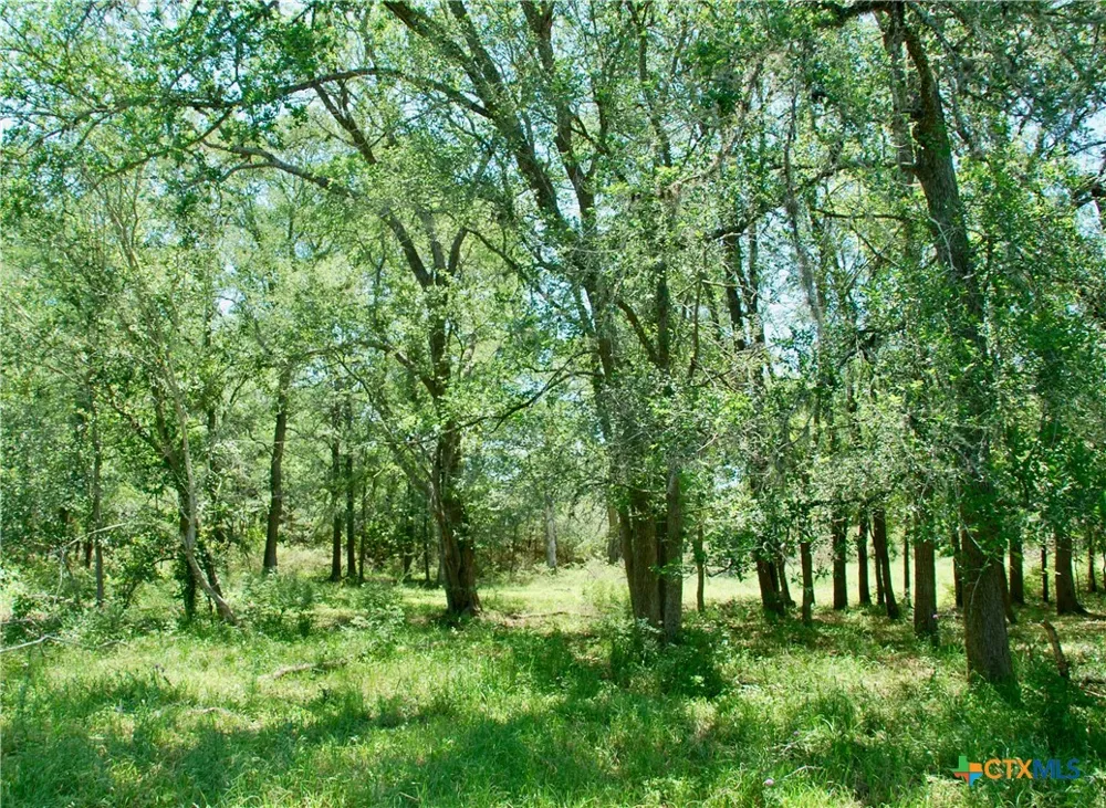 1070 Muehr Road Weimar, TX 78962