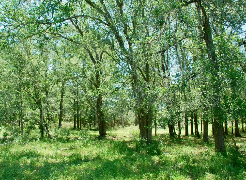 1070 Muehr Road Weimar, TX 78962