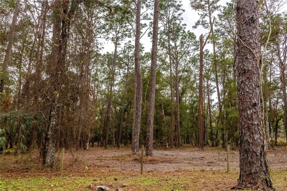 24091 RICHBARN ROAD Brooksville, FL 34601