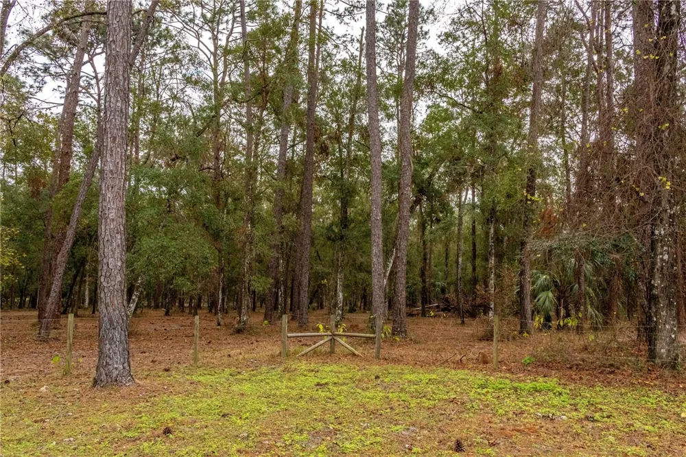 24091 RICHBARN ROAD Brooksville, FL 34601