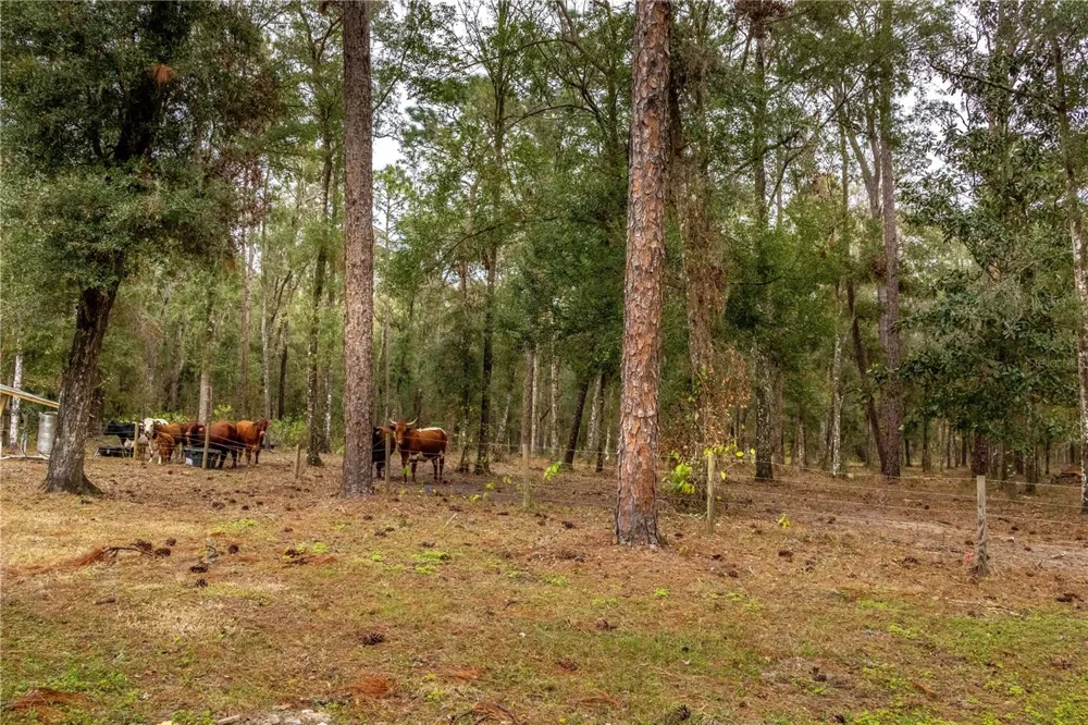 24091 RICHBARN ROAD Brooksville, FL 34601