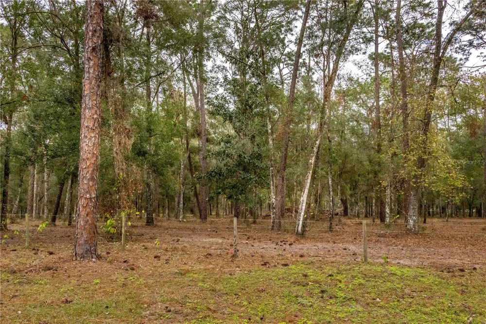 24091 RICHBARN ROAD Brooksville, FL 34601