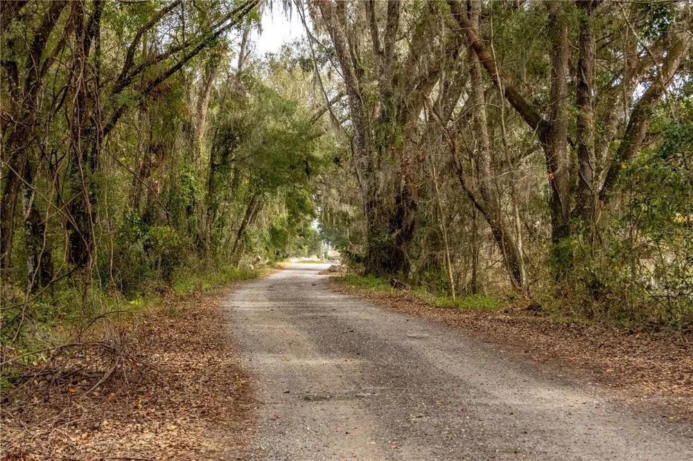 24091 RICHBARN ROAD Brooksville, FL 34601
