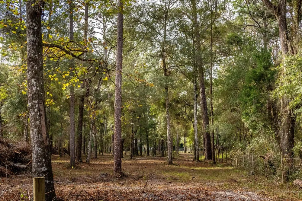 24091 RICHBARN ROAD Brooksville, FL 34601