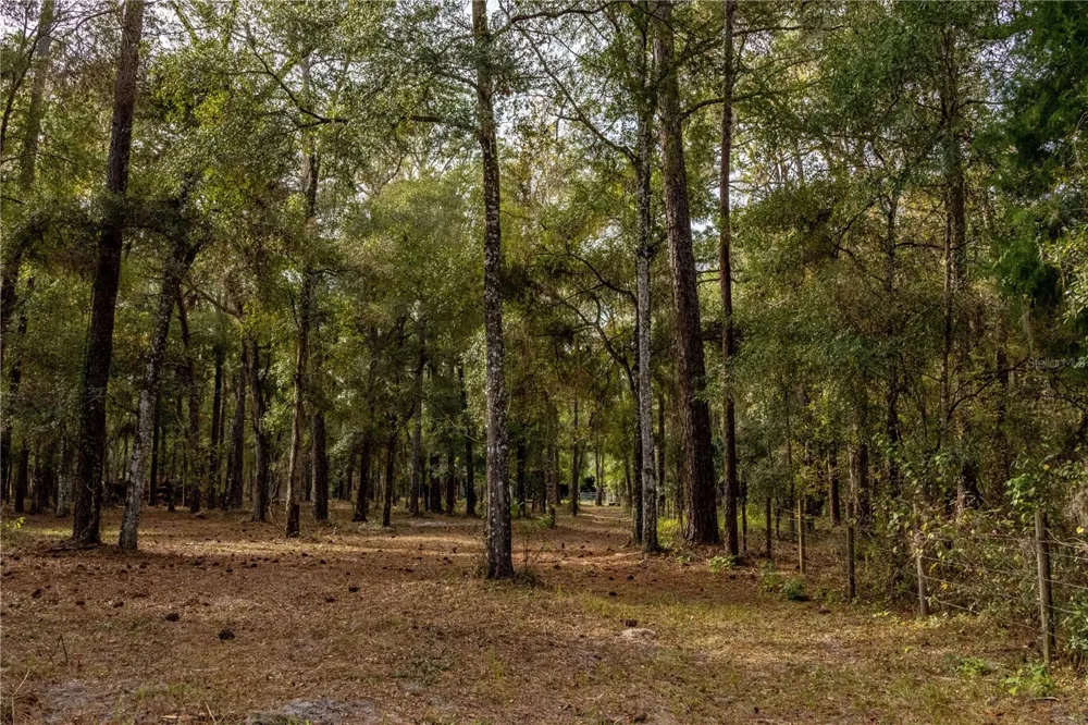 24091 RICHBARN ROAD Brooksville, FL 34601