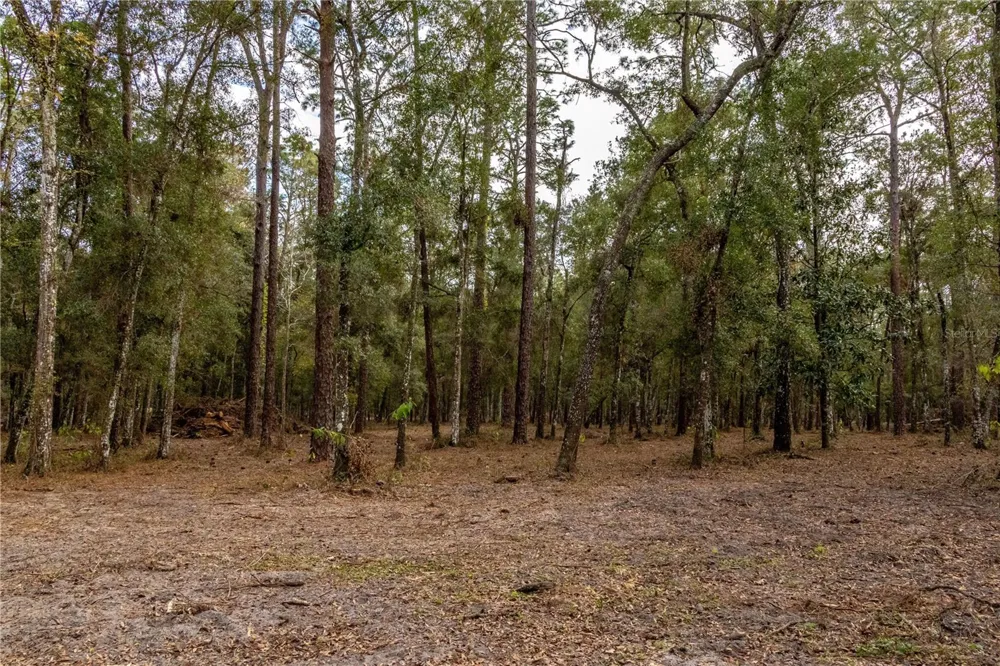 24091 RICHBARN ROAD Brooksville, FL 34601